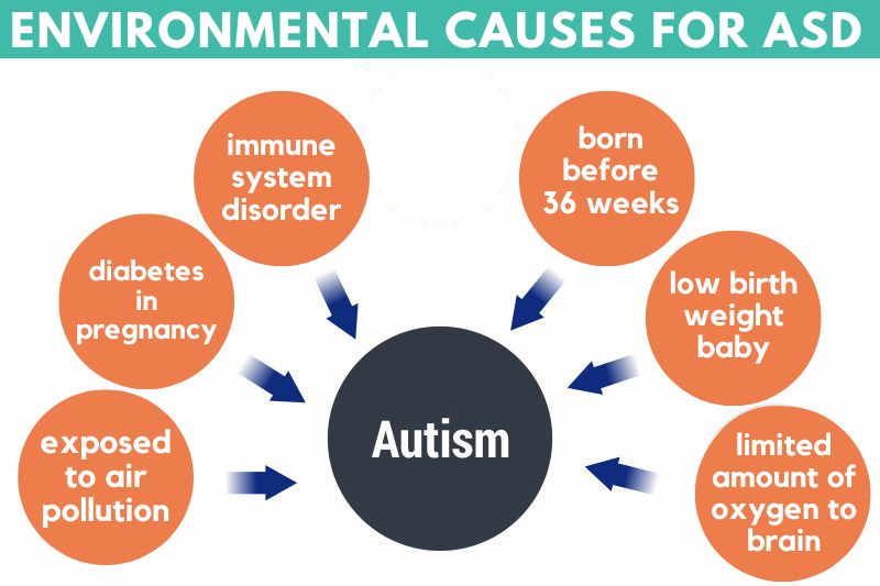 Environmental causes for ASD