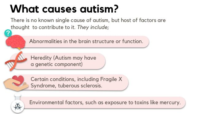 Cause Of Autism